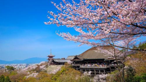 Para Wisatawan yang Ingin Meninggalkan Jepang Wajib Bayar 1000 Yen!